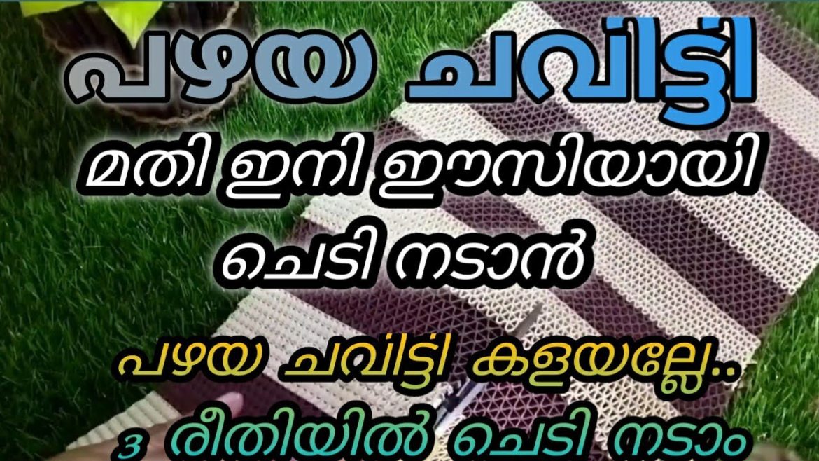 പഴയ ചവിട്ടി കൊണ്ട് പൊളപ്പൻ ഐഡിയാസ്/gardening ideas for home/gardening/garden setting ideas/ideas