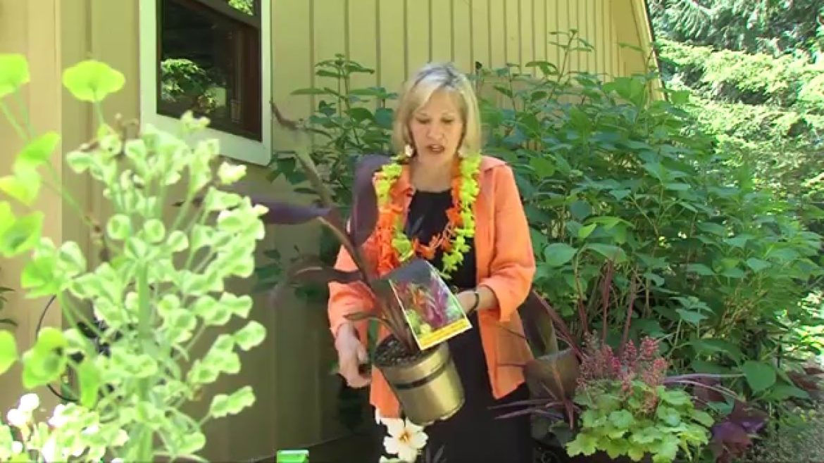 Create a Beautiful Container Garden From A Broken Pot Create a Beautiful Container Garden From A Broken Pot