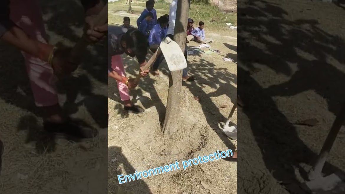 Environmental protection| Er.Rohit sir |#ytshorts #trending #environment Environmental protection| Er.Rohit sir |#ytshorts #trending #environment