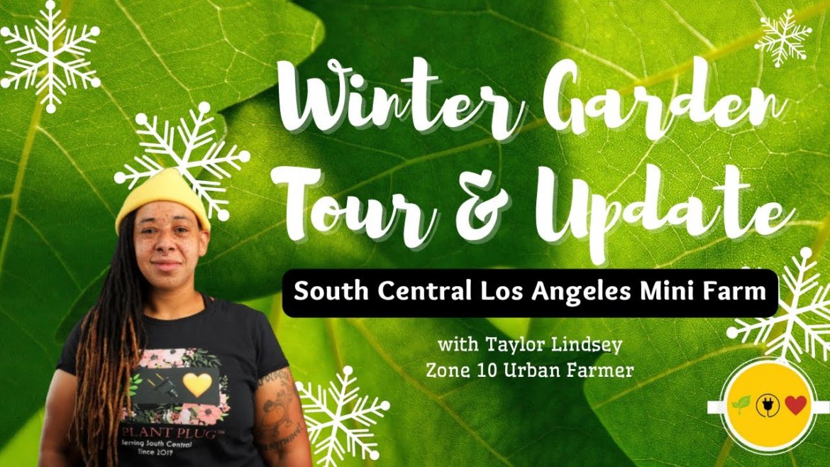 Los Angeles Backyard Garden Tour 2022: My Future Plans & Taking Plant Requests : The Plant Plug™