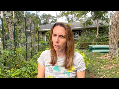 Fertilizer 101: What Every Floridian Needs to Know Fertilizer 101: What Every Floridian Needs to Know
