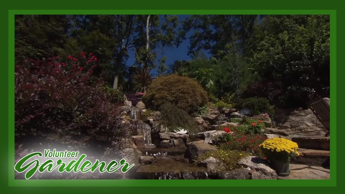 Layered Landscape | Volunteer Gardener Layered Landscape | Volunteer Gardener
