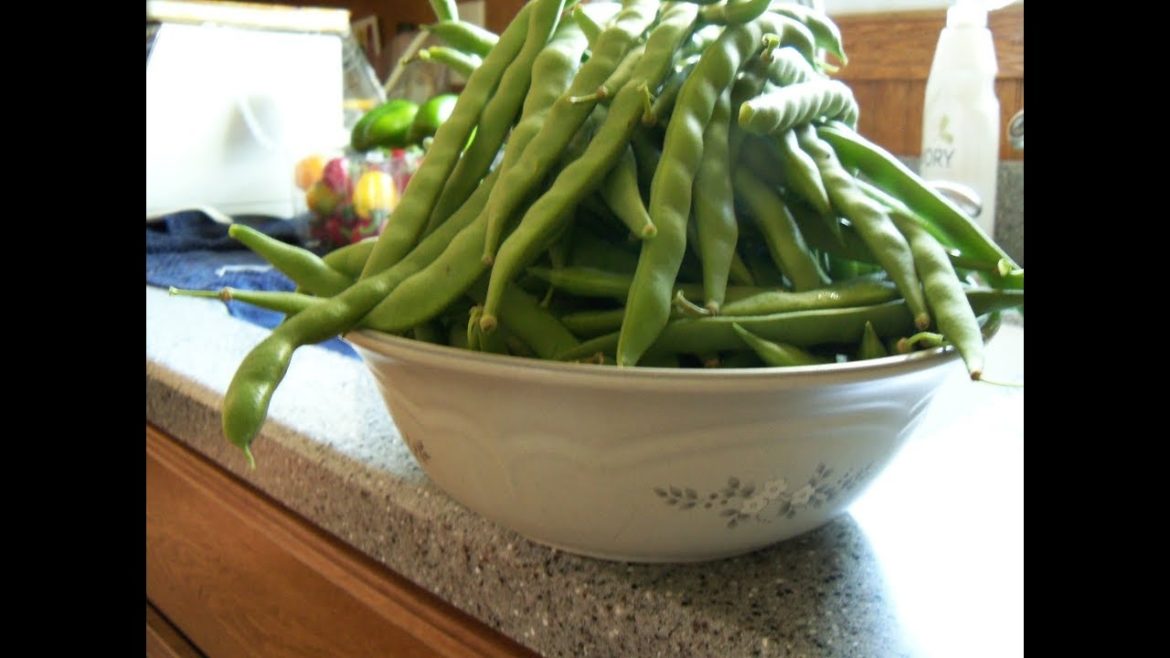 New Gardener Tip 4 – Start Small, Grow what you love, Don't be afraid New Gardener Tip 4 - Start Small, Grow what you love, Don't be afraid