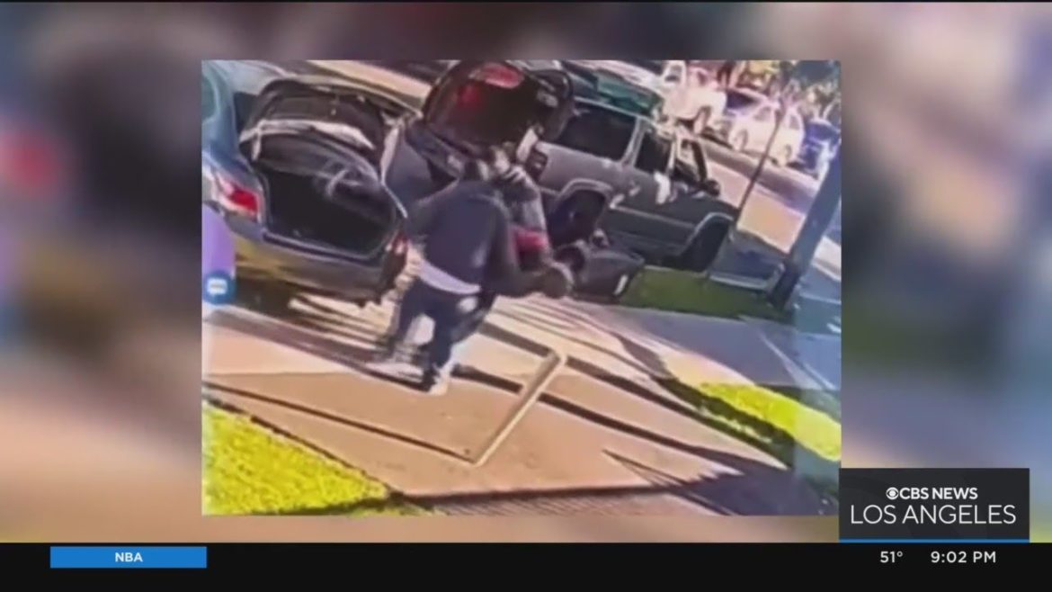 Local gardener left reeling after thieves steal thousands of dollars worth of tools
