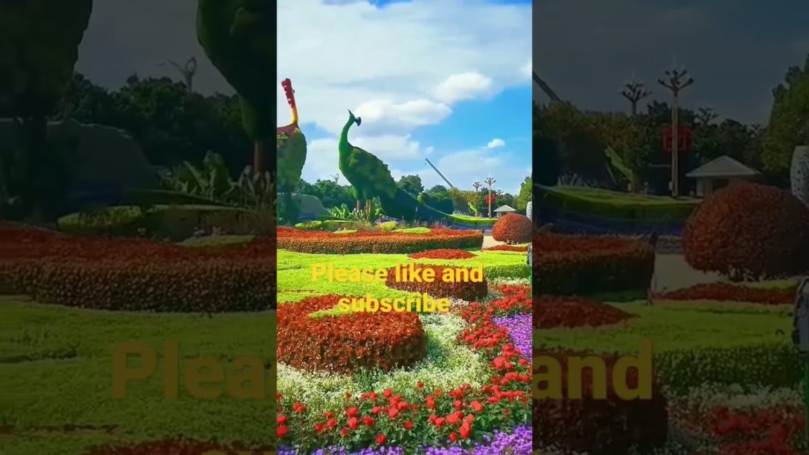 beautiful nature || #shorts beautiful garden nature sounds beautiful nature || #shorts beautiful garden nature sounds