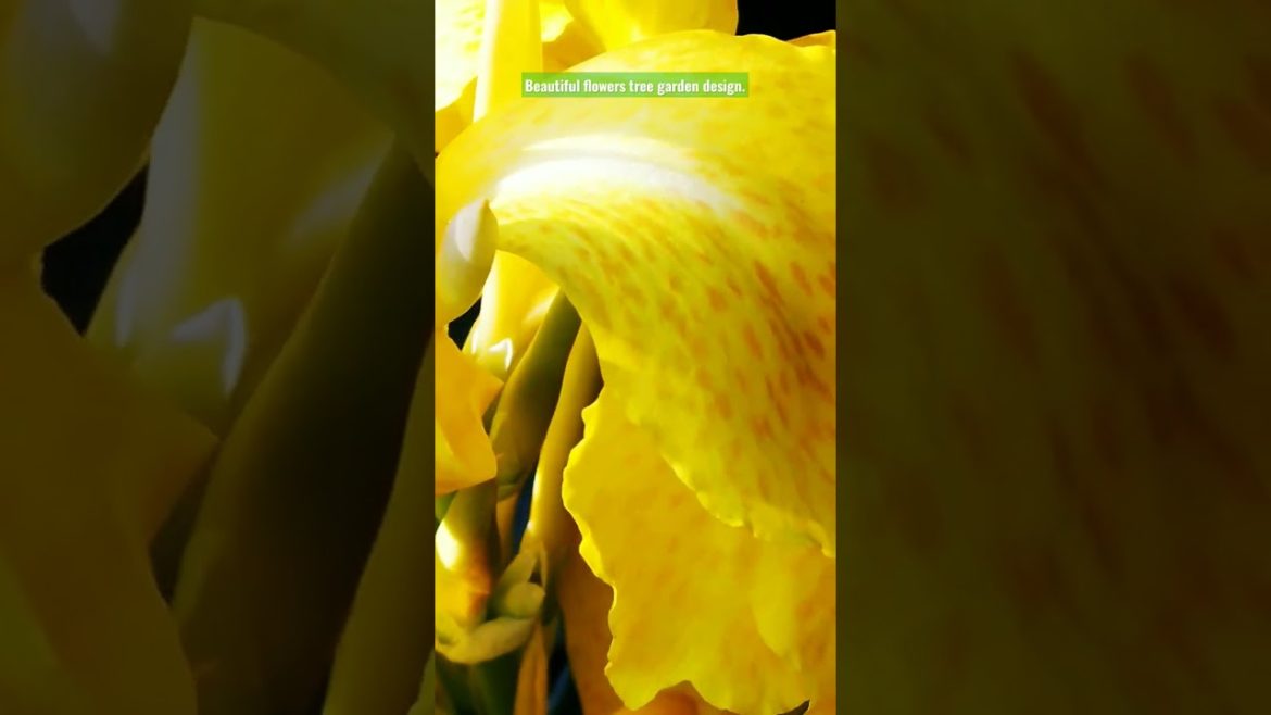 Beautiful flowers tree garden design for all.#shorts #share #subscribe #status Beautiful flowers tree garden design for all.#shorts #share #subscribe #status