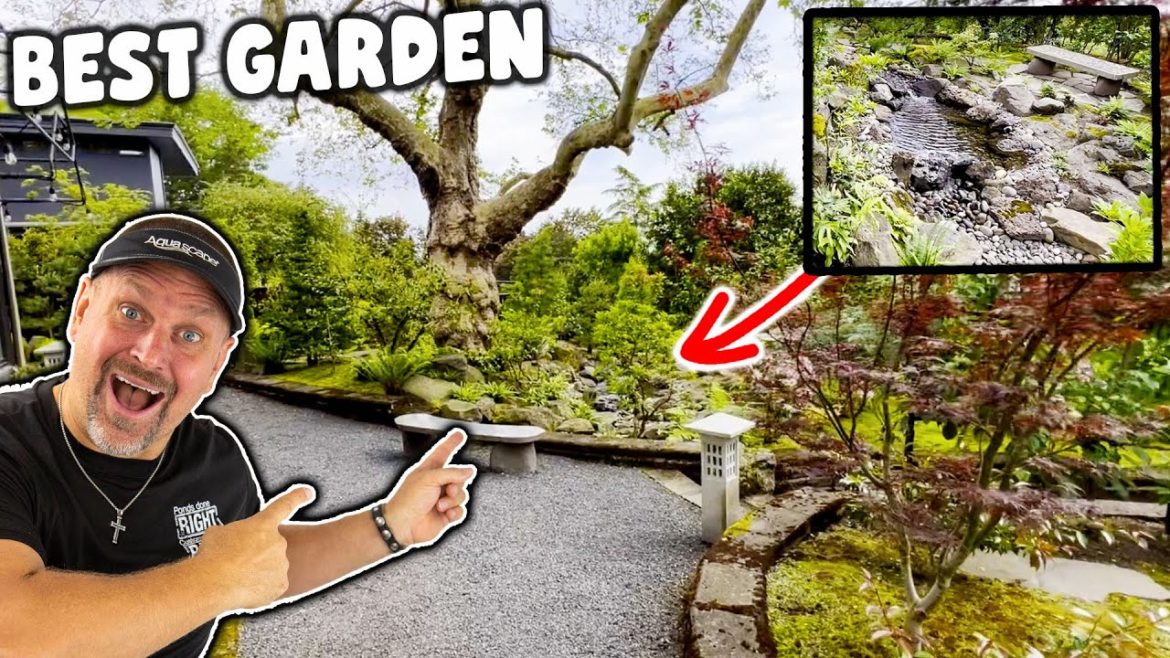 The BEST Backyard GARDEN I have SEEN. Pond to Pondless