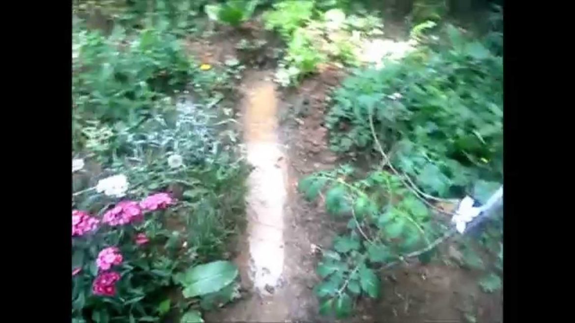Swales in my Suburban Backyard Garden - Permaculture @ The Dow Dominion