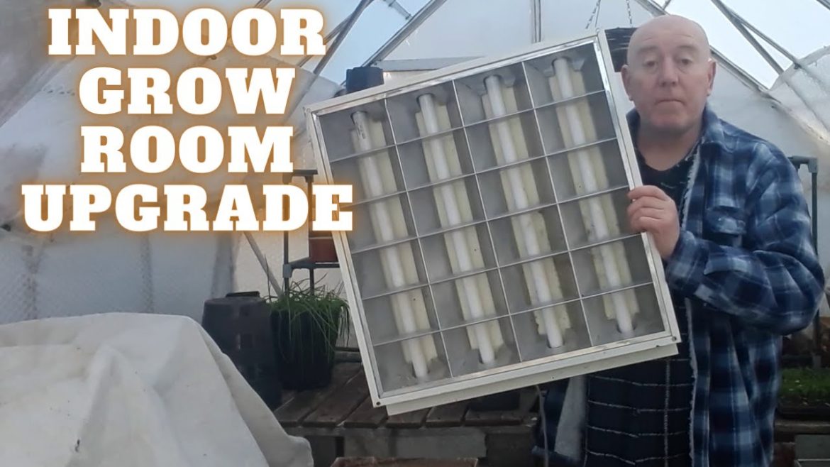 Indoor Grow room [Gardening Allotment UK] [Grow Vegetables At Home ]