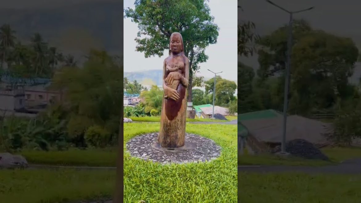 orchids & ferns #viral #nature #shorts #portblair #plants