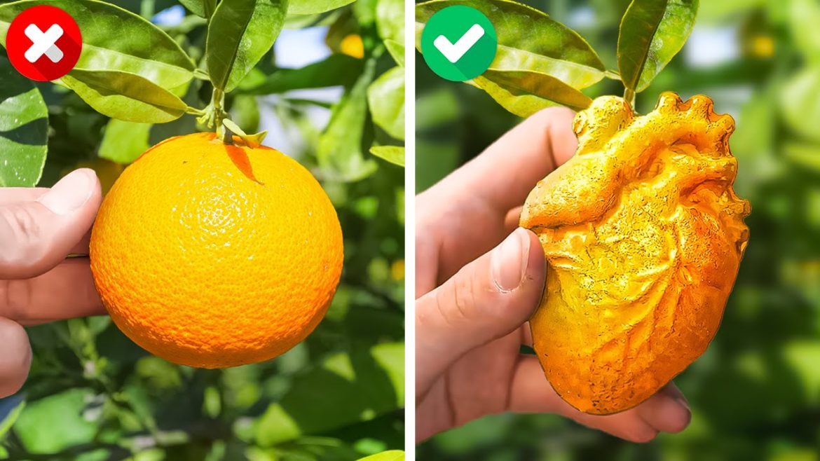 SUPER USEFUL PLANT HACKS, Gardening Tricks And Gadgets For Your Backyard SUPER USEFUL PLANT HACKS, Gardening Tricks And Gadgets For Your Backyard