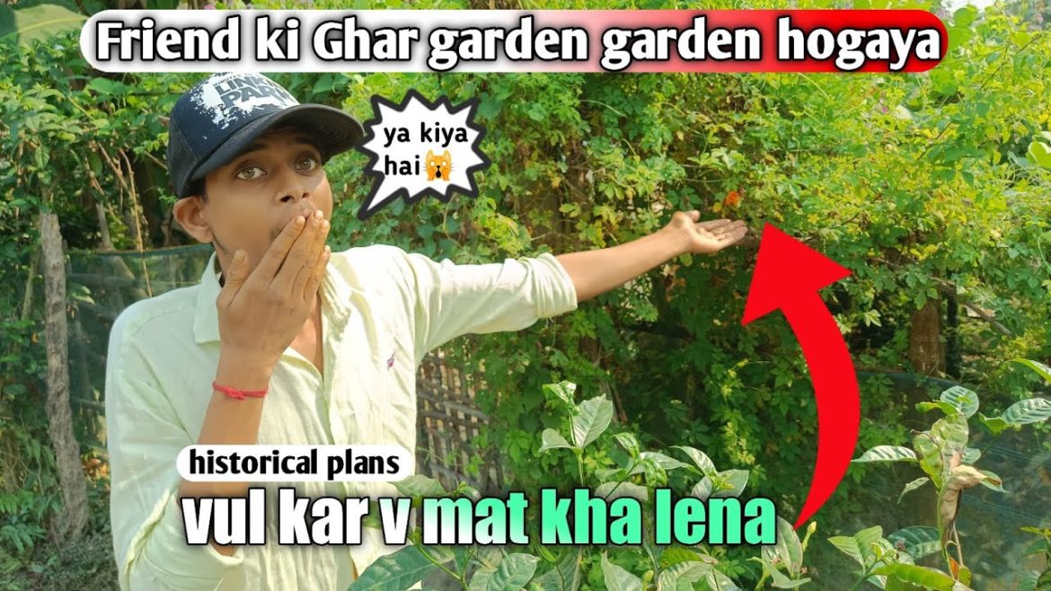 deshi garden mera friend ka ghar pe🙀| friend ki ghar garden garden hogaya 🤗🔥| historical plans🤔