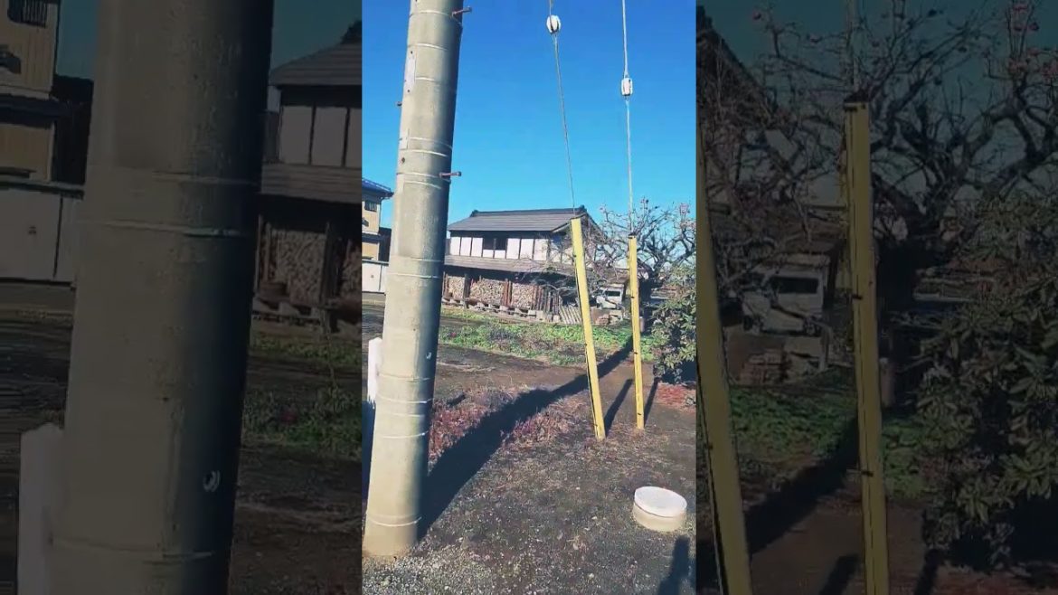 Japanese garden Japanese garden