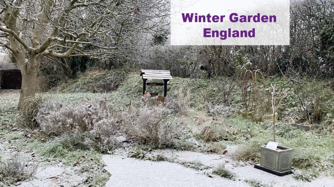 Winter Garden Tour – First Snow in English Cottage Garden #gardentour #englishgarden #wintergarden Winter Garden Tour - First Snow in English Cottage Garden #gardentour #englishgarden #wintergarden
