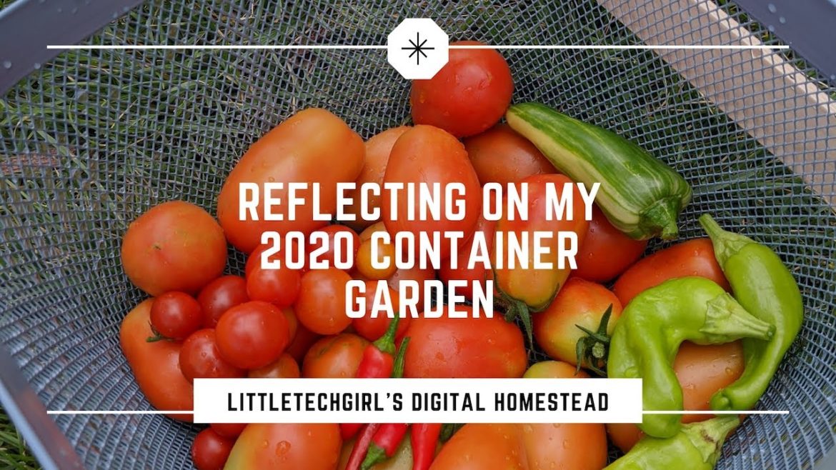 Reflecting on the 2020 Container Garden | That Was a Lot of Pots!