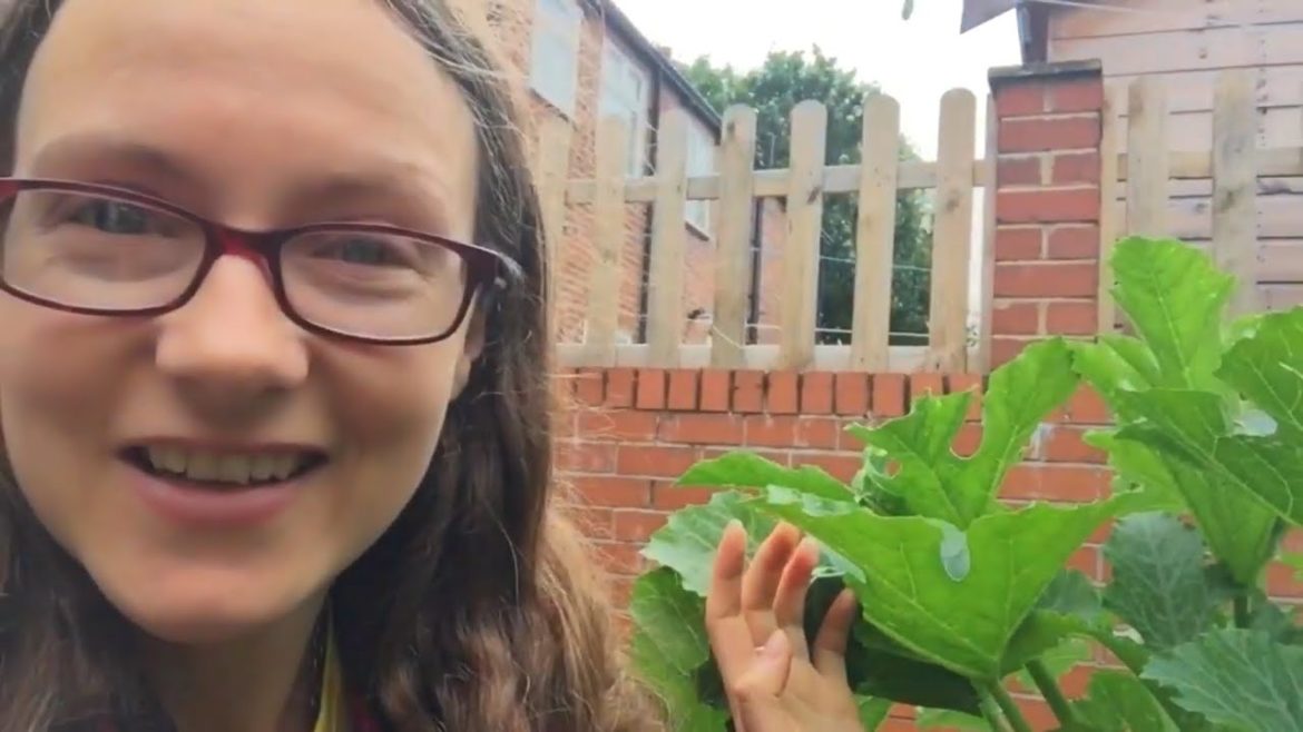 Love My Mini Jungle 💕 | 2020 Container Garden Tour