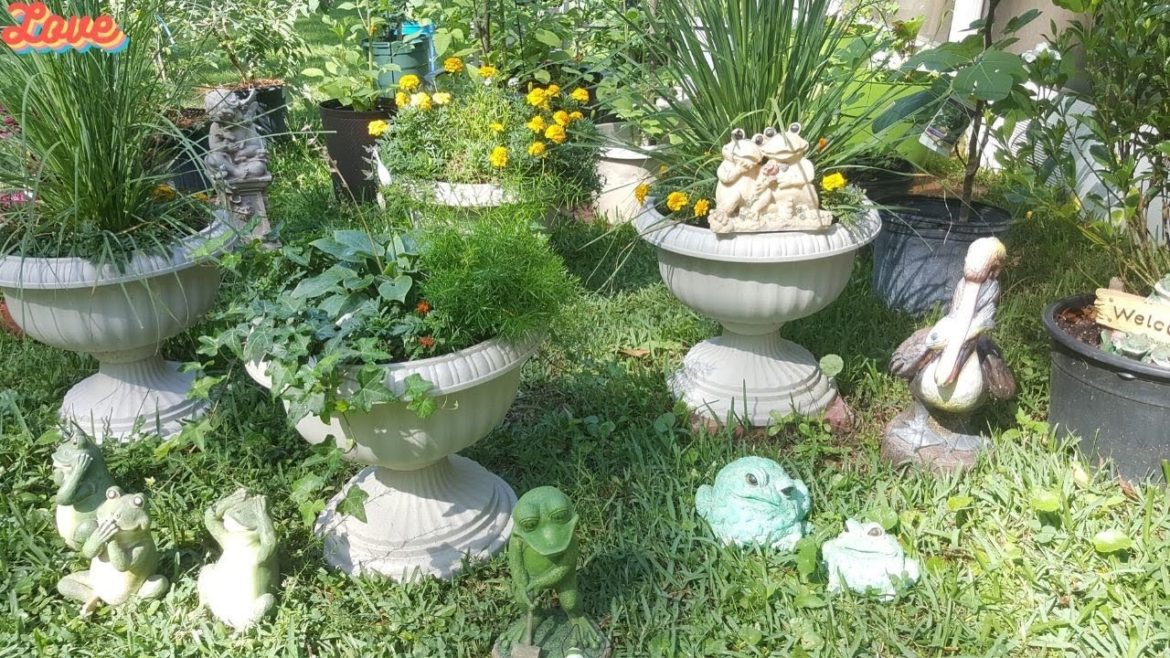 Container garden tour🌱💕Gardening With Susie TLC🌱💕