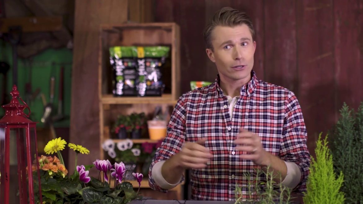 Lawn and garden tips to get a great looking house