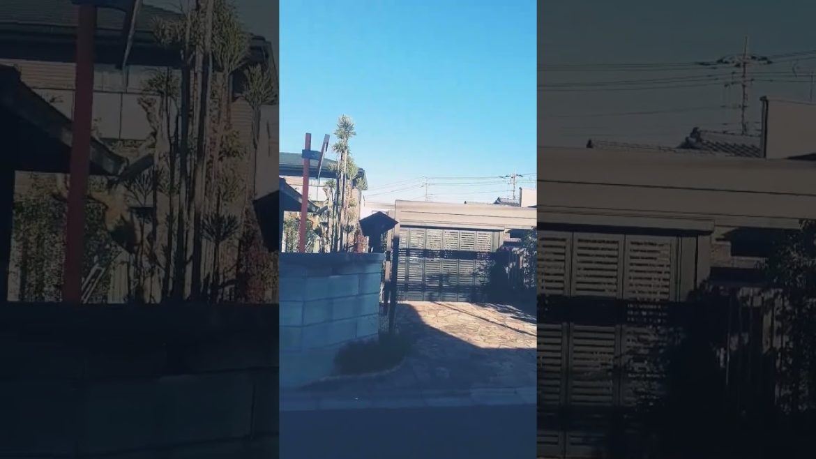 Japanese garden Japanese garden