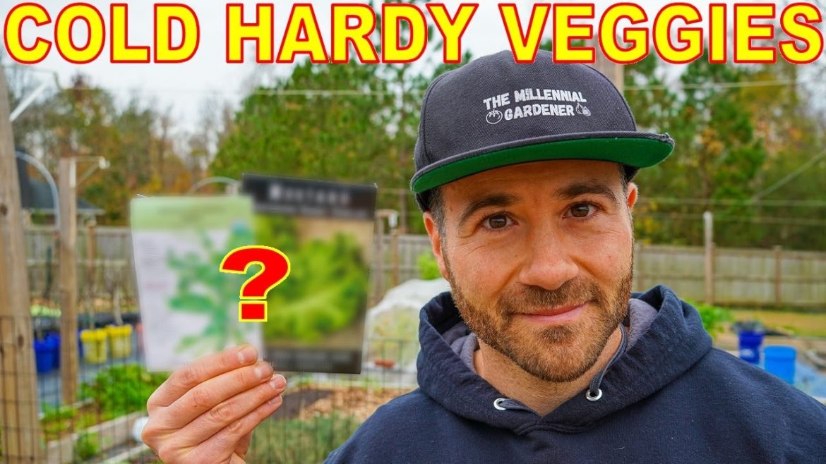 2 Veggies You've NEVER Heard Of For A Beautiful Winter Garden 2 Veggies You've NEVER Heard Of For A Beautiful Winter Garden