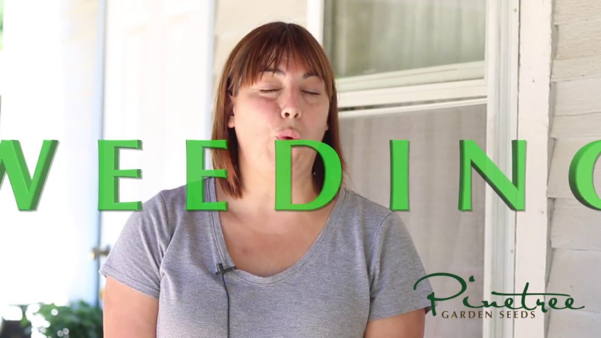 Garden Tips and Tricks: How to Weed a Garden Garden Tips and Tricks: How to Weed a Garden