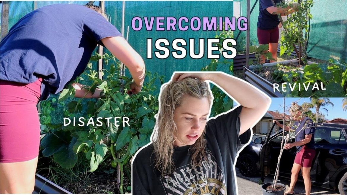 Will this ACTUALLY work?..saving my SNAPPED TOMATO Plants! Zucchini pollinating & gardening VLOG