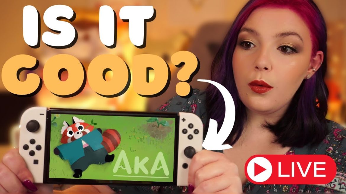 Is Aka Worth It On Nintendo Switch!?
