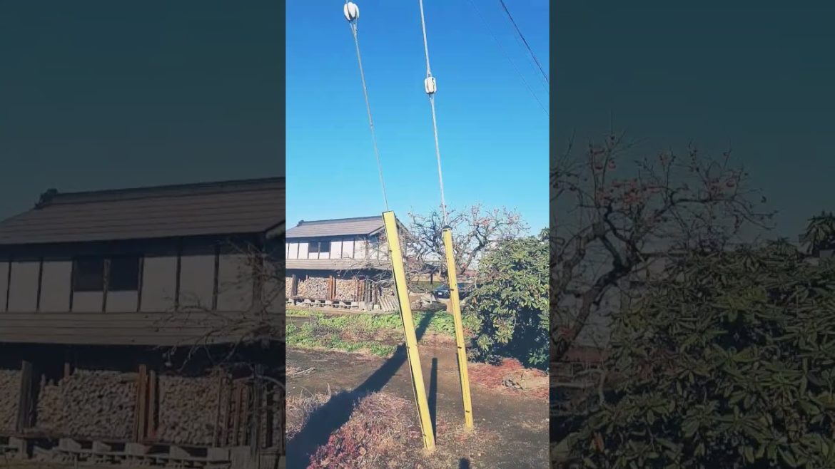 Japanese garden Japanese garden