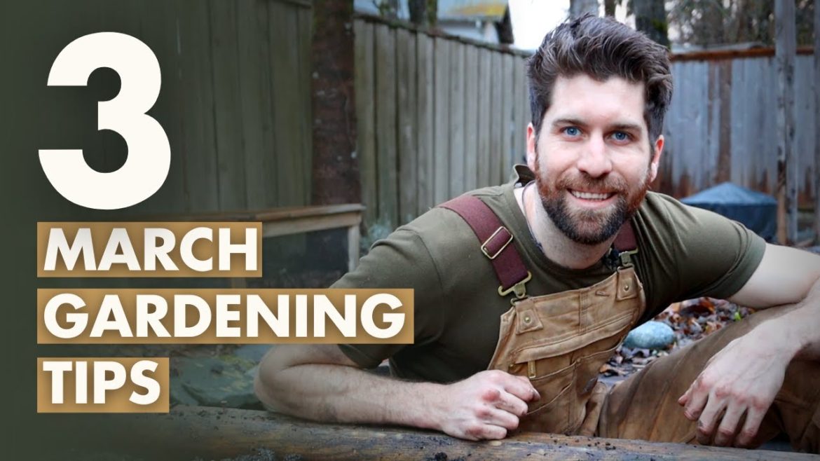 3 March Gardening Tips
