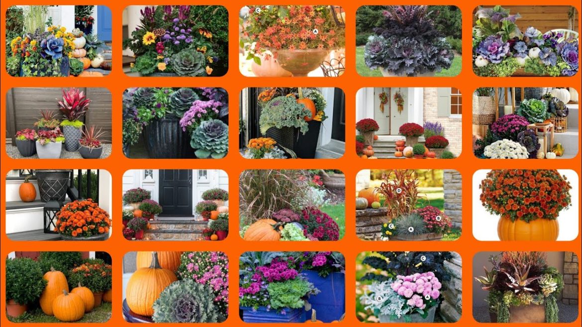 200 beautiful fall planter for easy outdoor decoration ideas//pot planters #decorlife #garden #pots