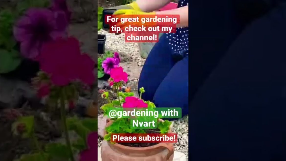 Gardening tips! #shorts