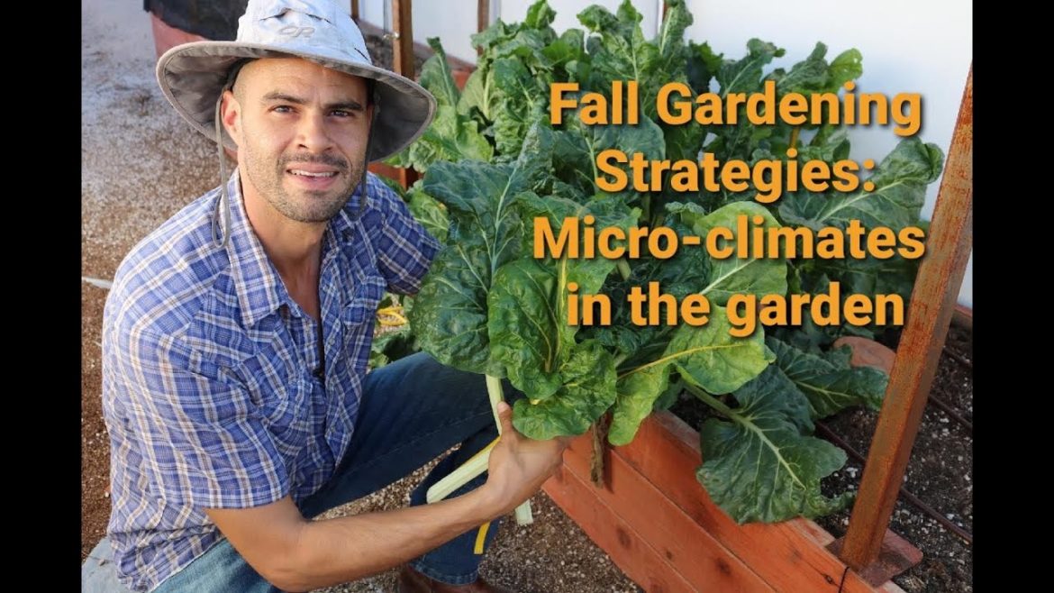 Fall Vegetable Gardening Planting Strategies: Microclimates in the garden Fall Vegetable Gardening Planting Strategies: Microclimates in the garden
