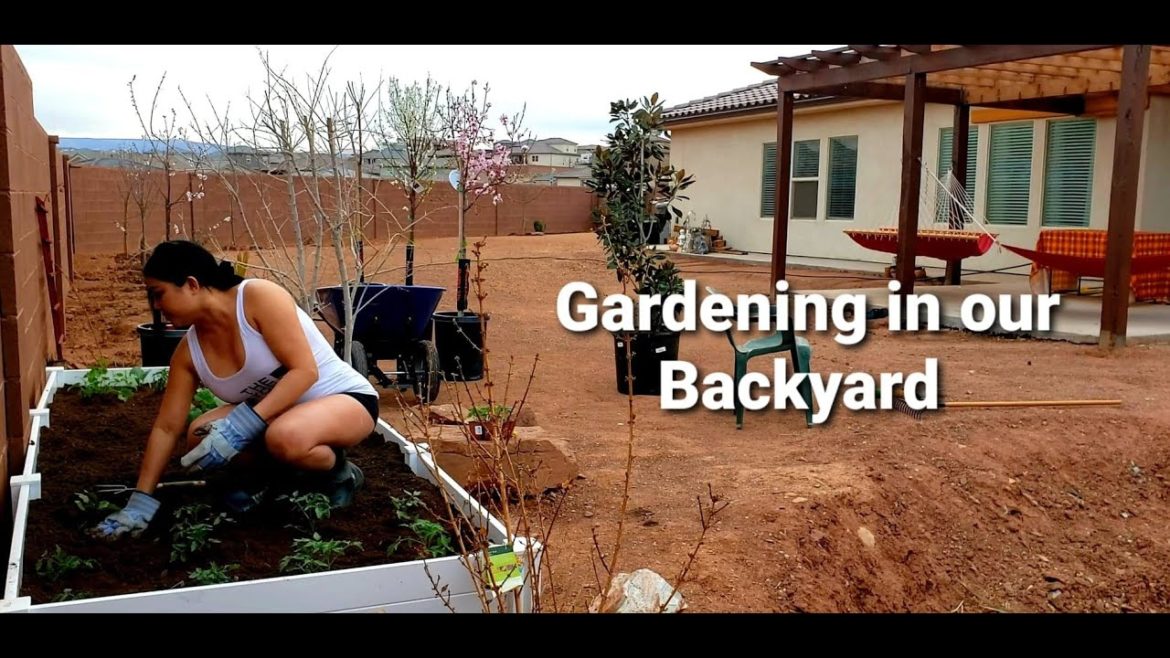 Our Backyard Garden - Fruit Trees & Herbals - Getting Ready For Spring 2021