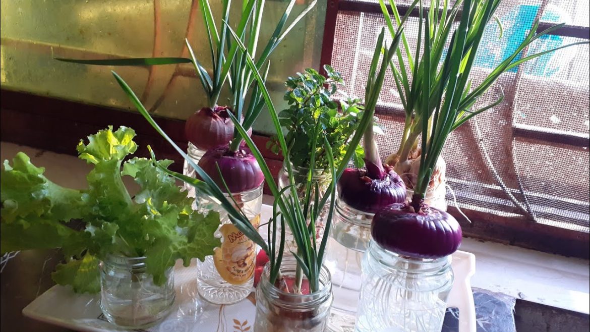 DIY mini kitchen herb garden @KFgardening