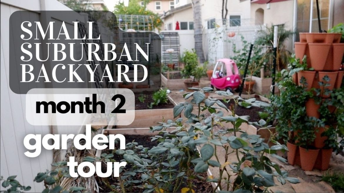 FEBRUARY GARDEN TOUR OF A SMALL SUBURBAN BACKYARD GARDEN | California Zone 9B Kitchen Garden