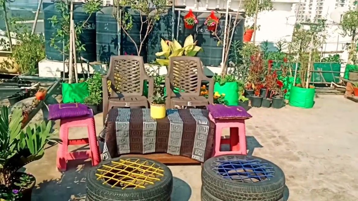 देखो मैंने गार्डन कैसे सजाया। #naturetreasure #gardening