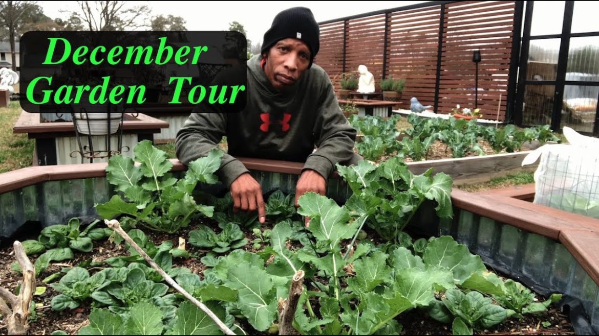 December garden tour - Winter #garden #gardening
