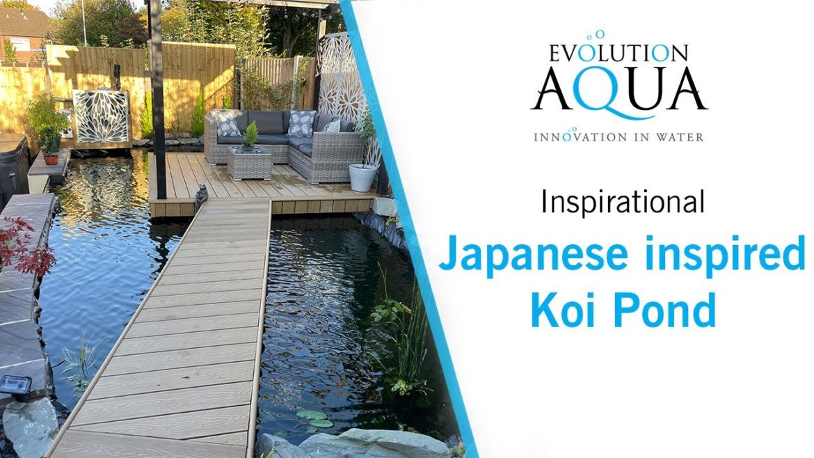 Japanese inspired Koi Pond!! Japanese inspired Koi Pond!!