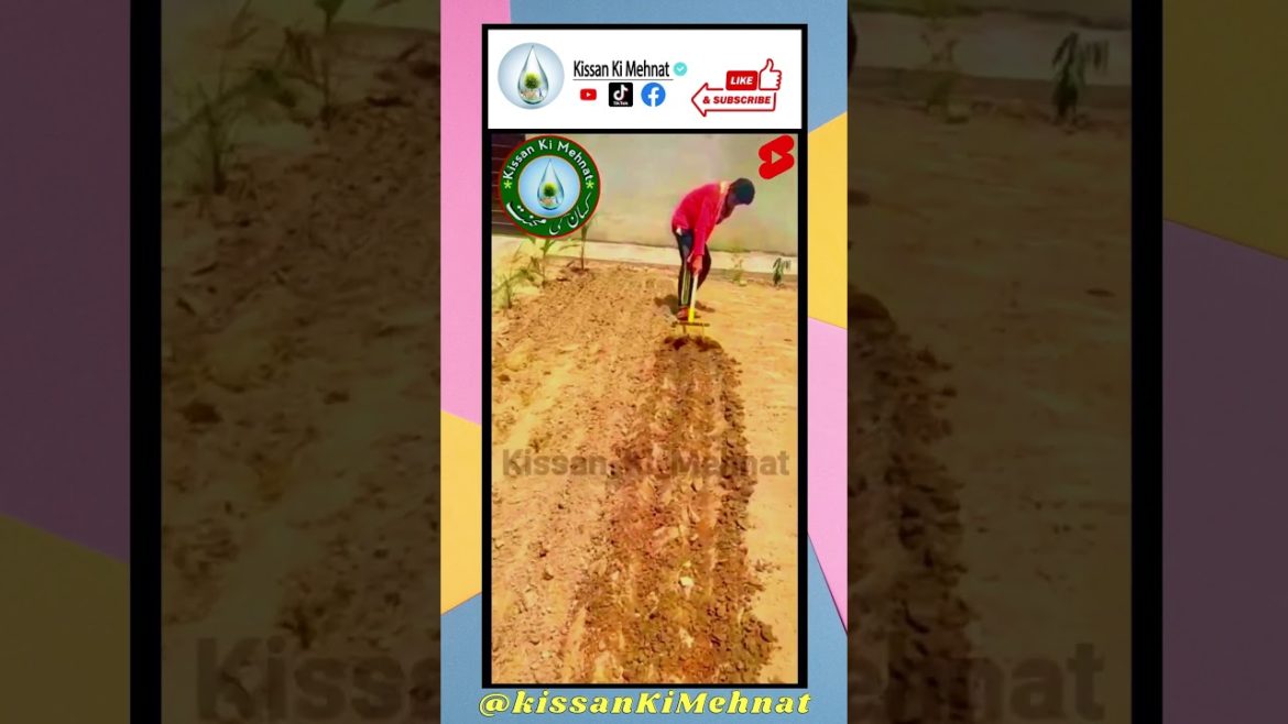 Hand Pull Plow // Amazing Agricultural Tools //DIY Gardening Tool //DIY Tools. Hand Pull Plow // Amazing Agricultural Tools //DIY Gardening Tool //DIY Tools.