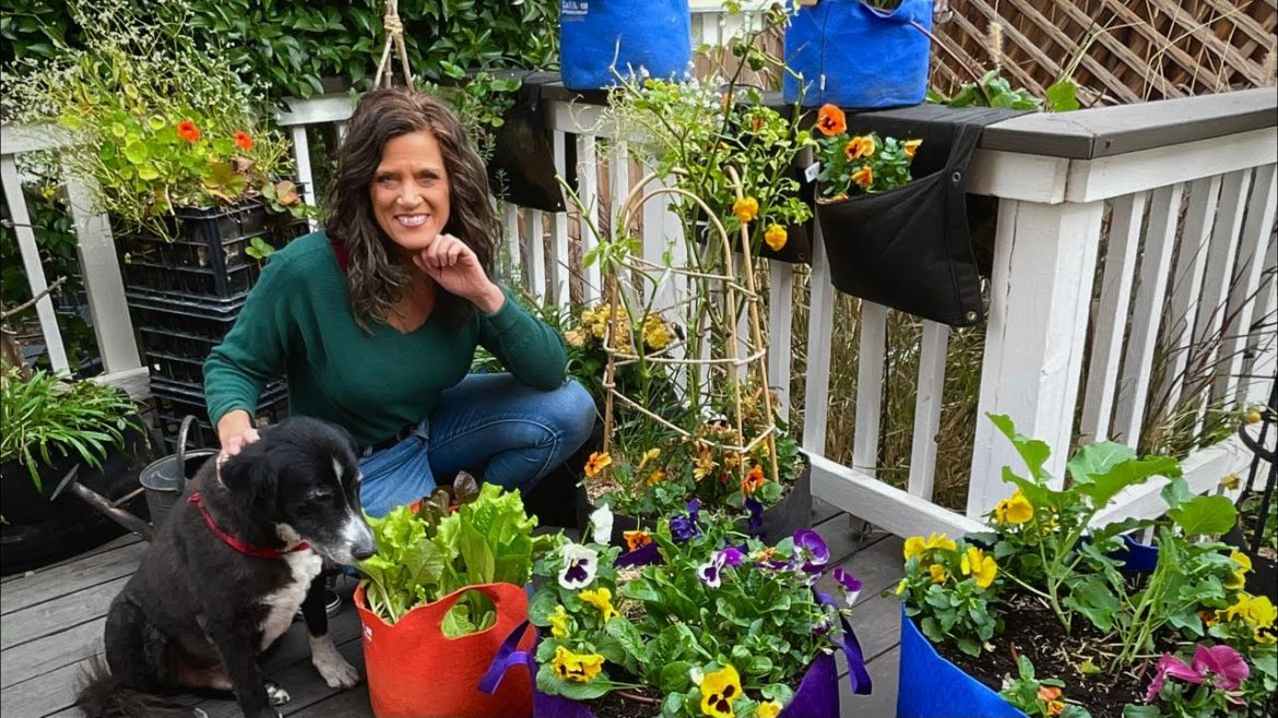 CaliKim: ✅ LIVE: How to Set Goals for 2023 That STICK! 🎉 ✅ LIVE: How to Set Goals for 2023 That STICK! 🎉