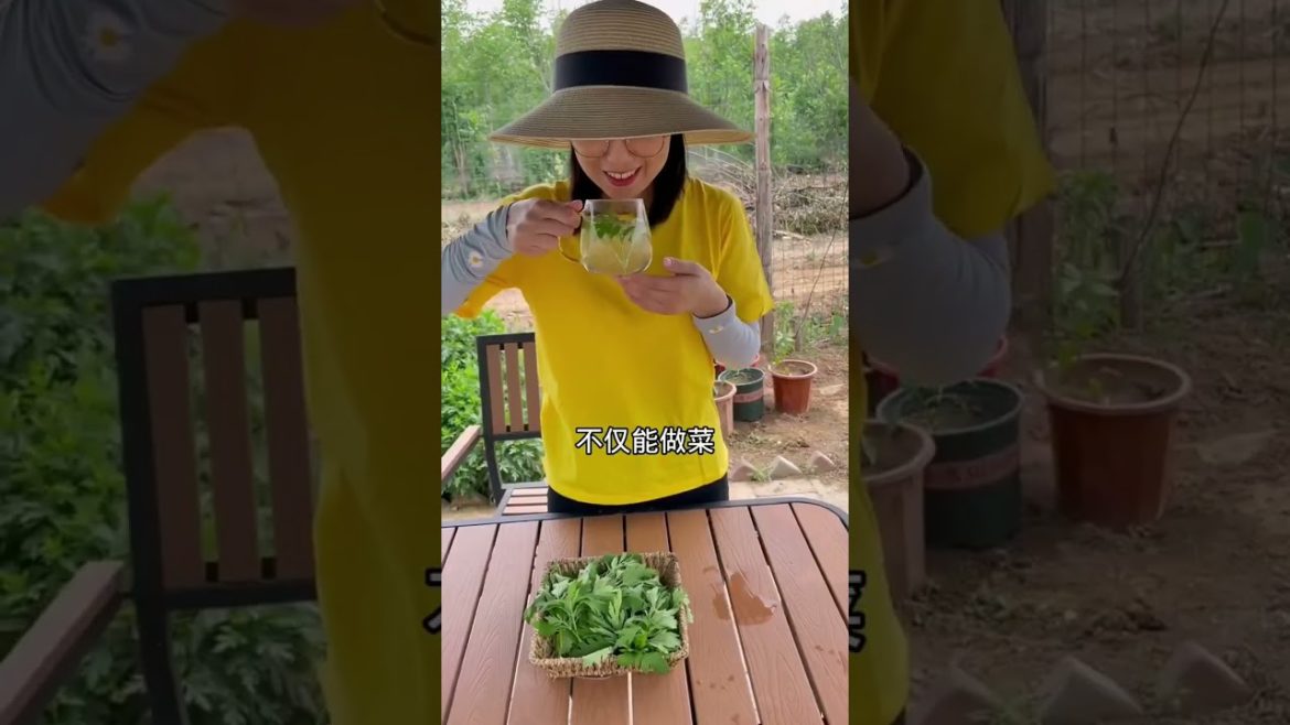 how to growth vegetable /gardening ideas for home