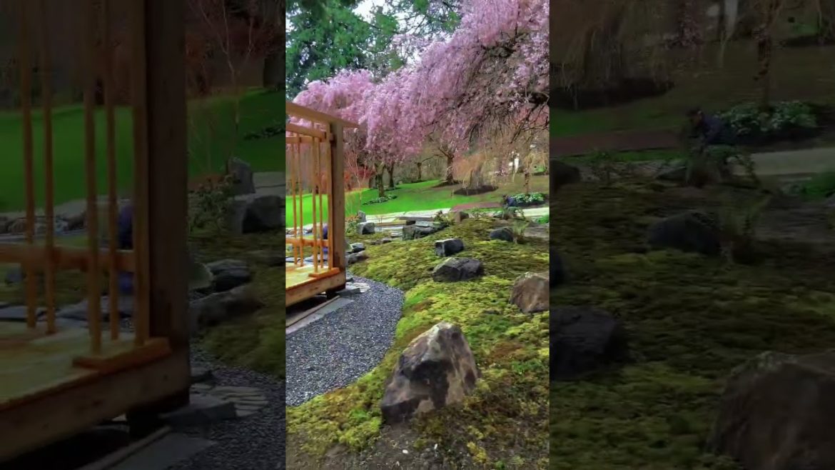 Did we do a good job? - Projected by VJGA- #gardening