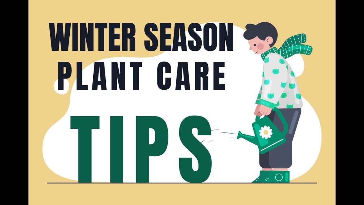 8 Best Winter Garden Care Tips | Garden Plant Care Tips in the Winter Season