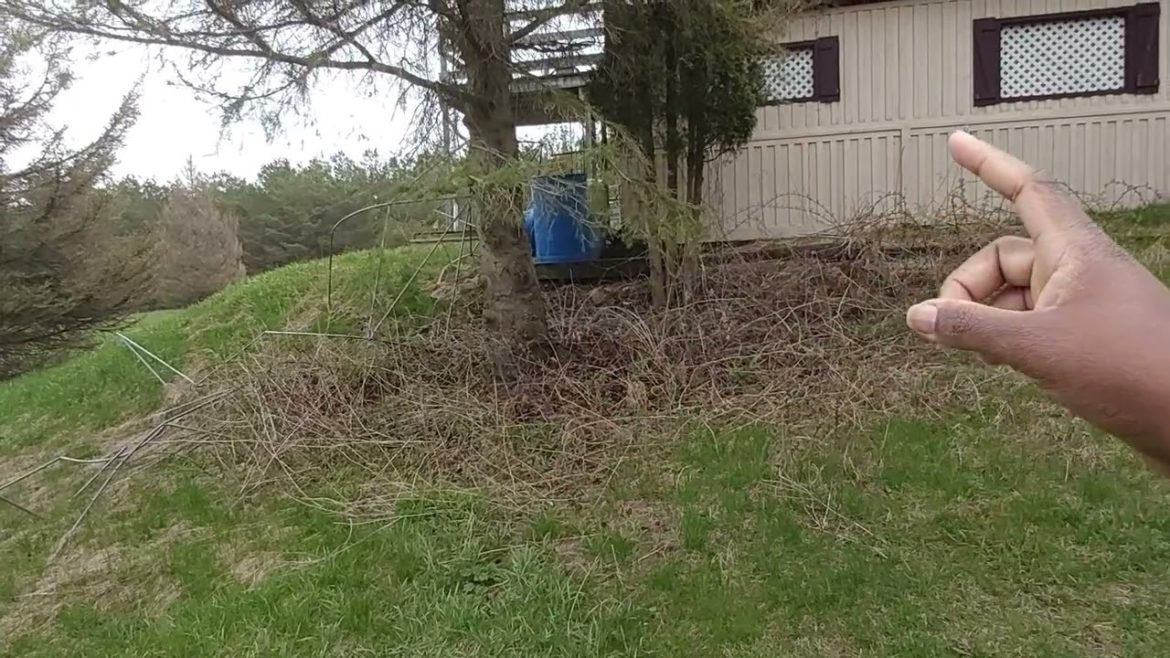 Garden plans have changed. #shedwarsglobalgardening