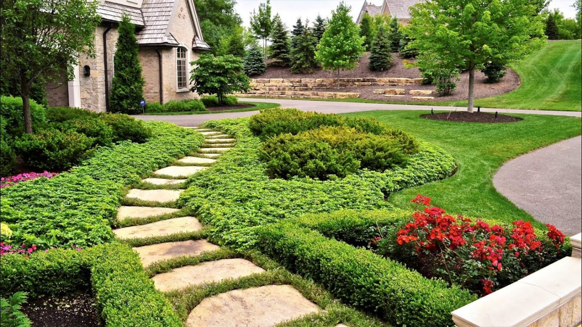 🌺Полезные идеи для обустройства участка / Landscaping Ideas 🌺Полезные идеи для обустройства участка / Landscaping Ideas