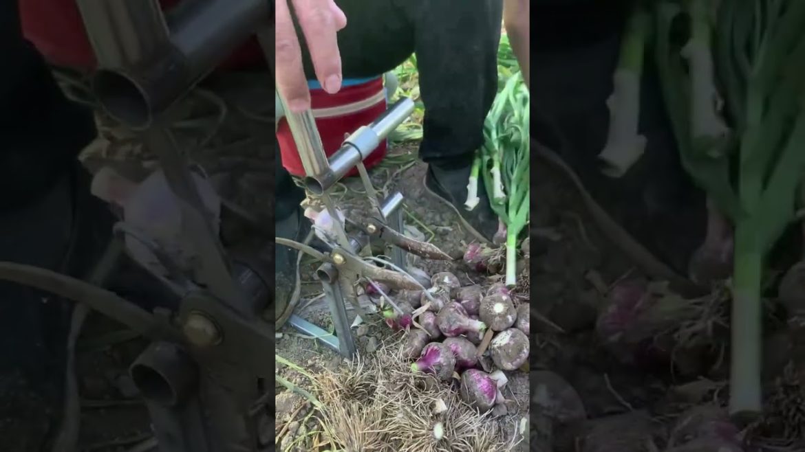 Best equipment for farming #rural