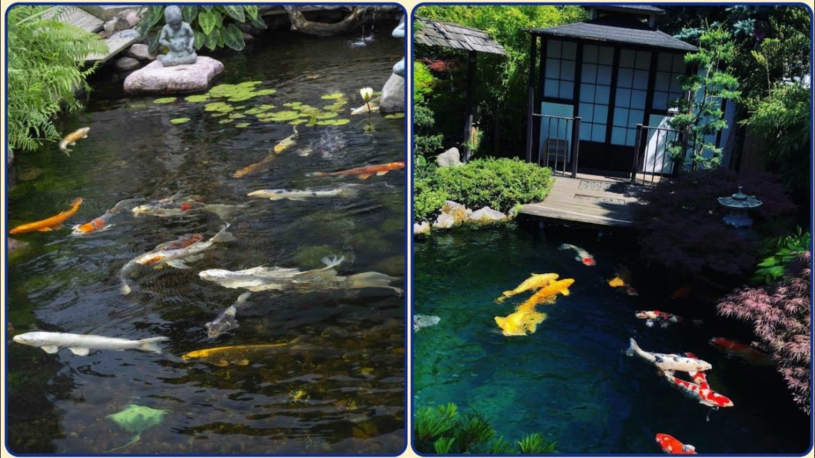 Stylish Fish Pond Garden Aesthetic Interior - Outside Garden Designs