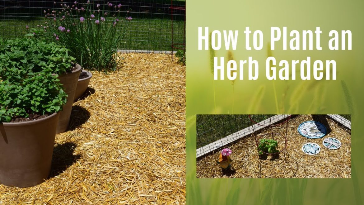 How to Plant an Herb Garden | Herb Garden Design & Layout | Garden Decor Items & Gardening Tips!