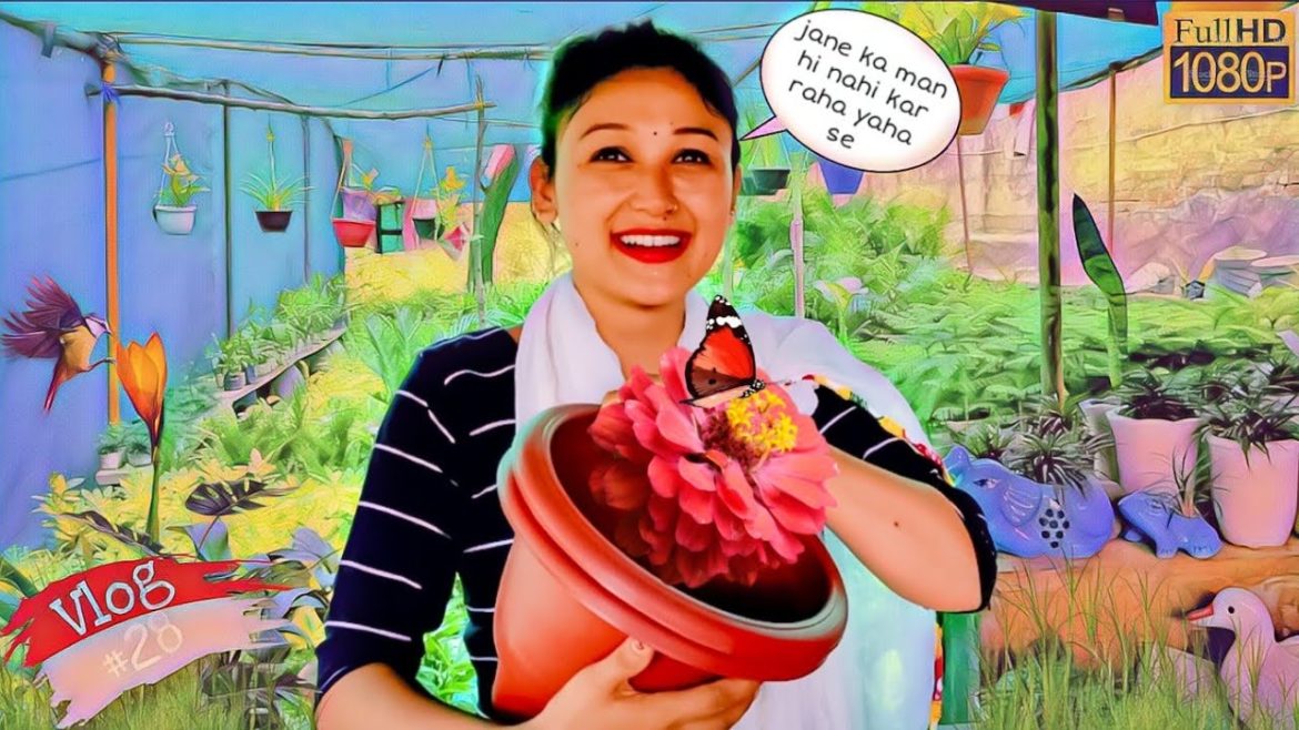 Aaj Ki Plant Shopping 😍| Gardening Tips | Gardening tips for beginners