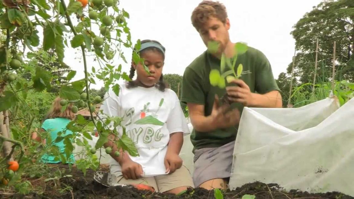 The Edible Academy